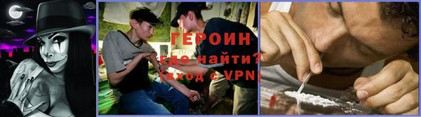 ПСИЛОЦИБИНОВЫЕ ГРИБЫ Горно-Алтайск