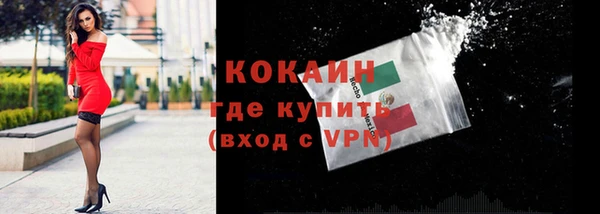 ПСИЛОЦИБИНОВЫЕ ГРИБЫ Горно-Алтайск