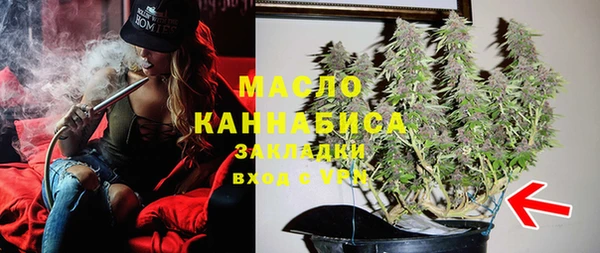ПСИЛОЦИБИНОВЫЕ ГРИБЫ Горно-Алтайск