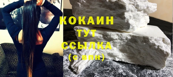 ПСИЛОЦИБИНОВЫЕ ГРИБЫ Горно-Алтайск