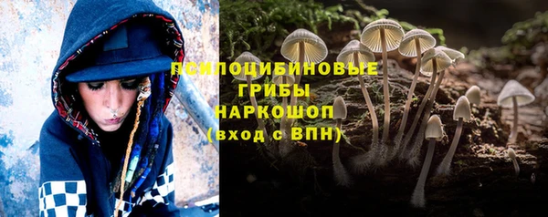 прущая мука Горняк