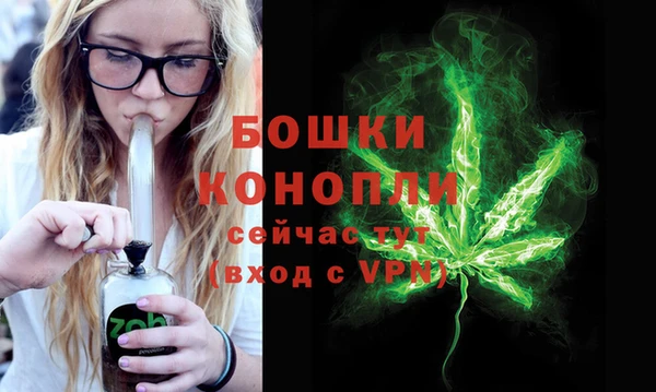молекула духа Горнозаводск