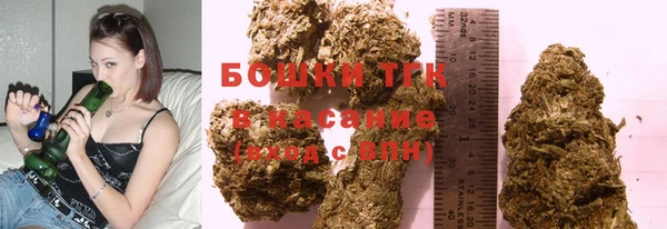 молекула духа Горнозаводск