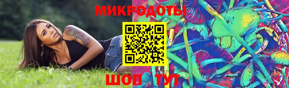 Галлюциногенные грибы GOLDEN TEACHER  Дубна 