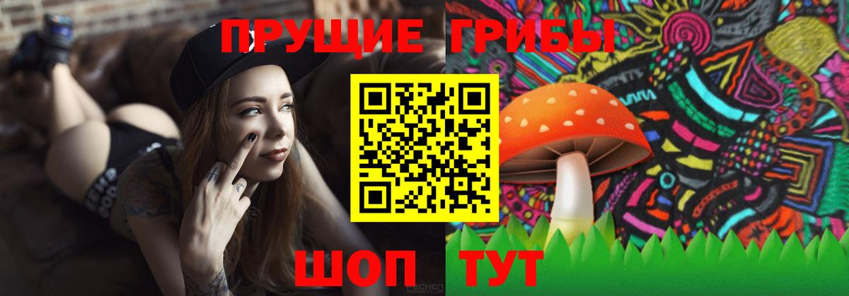Галлюциногенные грибы прущие грибы Дубна