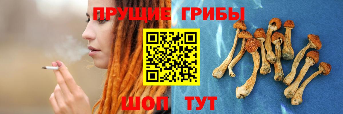 Дубна  Галлюциногенные грибы MAGIC MUSHROOMS  Вход с VPN  Галлюциногенные грибы GOLDEN TEACHER 