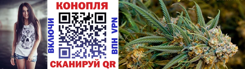 МАРИХУАНА ГИДРОПОН  Купить закладки  Дубна 