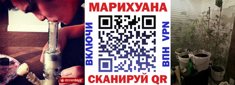 Каннабис сатива Дубна
